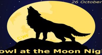 Howl At The Moon Day and Night: History, Significance and How to Celebrate the Day