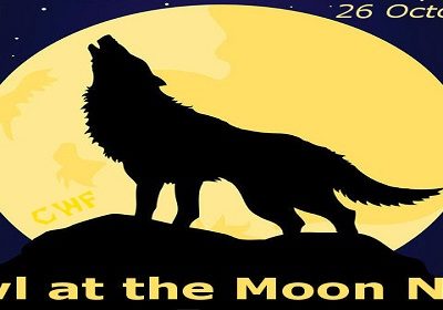 Howl At The Moon Day and Night