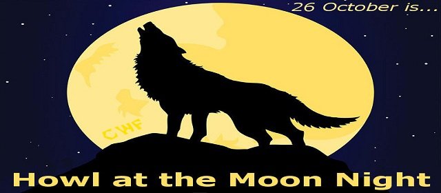 Howl At The Moon Day and Night