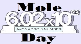 Interesting Facts about Mole you need to know on Mole Day