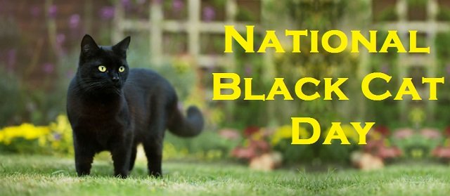 National Black Cat Day