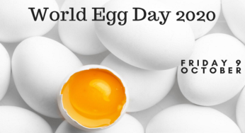 World Egg Day 2020: Interesting Facts about eggs and their nutrition health benefits