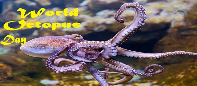 World Octopus Day