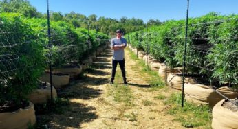 Entrepreneur Sean Smutny: “There is immense untapped potential in the cannabis industry moving forward”