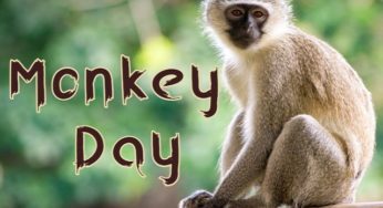 25 Fun Facts about Monkeys You Need to Know on World Monkey Day