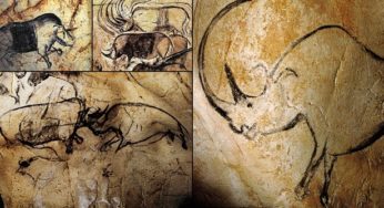 Interesting Facts about Grotte Chauvet Cave, UNESCO World Heritage Site