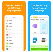 Self improvement app Duolingo Plus