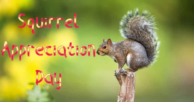 35 Amazing and Fun Facts about Squirrels you need to know on Squirrel Appreciation Day