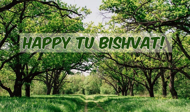 Amazing and Fun Facts about Tu BiShvat