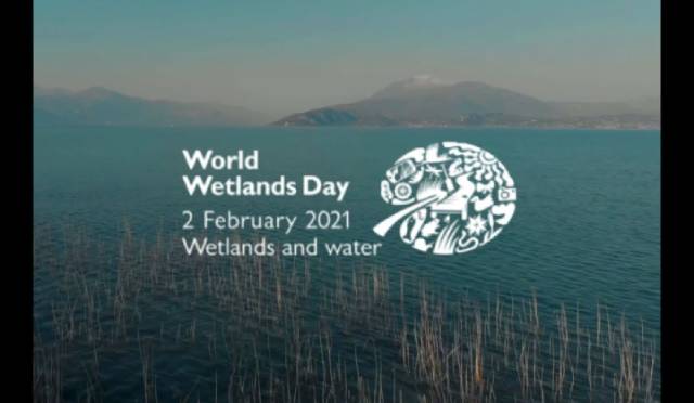 World Wetlands Day