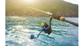 Fishing for the First Time? Quickly Become Expert with the Nature Insider