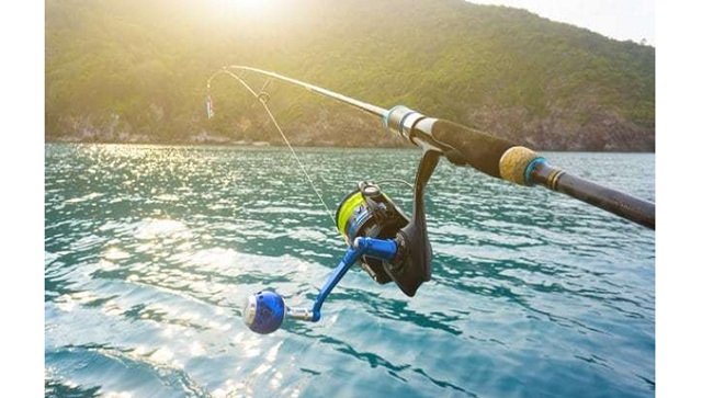 Fishing for the First Time Quickly Become Expert with the Nature Insider