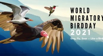 World Migratory Bird Day 2021: Theme, History, and Importance of the day