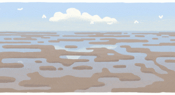 Wadden Sea: Google Doodle is celebrating one of the UNESCO World Heritage Site