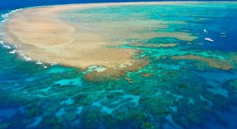 Australia requests UNESCO world heritage specialists visit the Great Barrier Reef before listing it in global ‘in danger’ sites