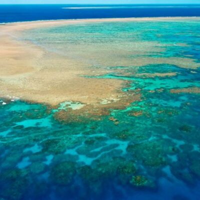 Australia requests UNESCO world heritage specialists visit the Great Barrier Reef before listing it in global in danger sites