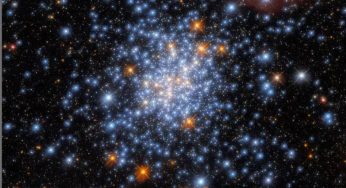 Hubble Space Telescope detects red, white, and blue stars in the sparkly cluster