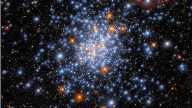 Hubble Space Telescope detects red white and blue stars in the sparkly cluster