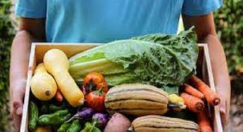 Minot Farmers Market launches a new season; local food alternatives