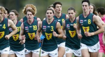 Tasmanian AFL expansion team decision will be finalized in 2022, AFL CEO Gillon McLachlan says