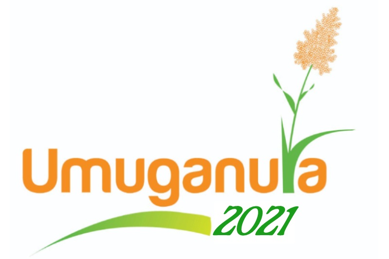 Umuganura Day History and Significance of harvest festival in Rwanda