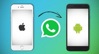 Steps to follow to transfer your WhatsApp data from iPhone to Android