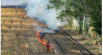 A bird’s-eye view of farm fires in Haryana, Punjab since 2016
