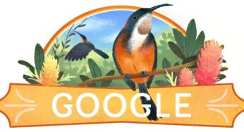 Google Doodle celebrates the Eastern Spinebill, a species of honeyeater found in Australia