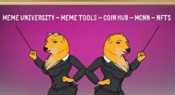 Mrs Cheems Cryptocurrency Launches the FIRST MEME University Hub