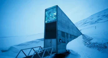 Svalbard Global ‘Doomsday’ Seed Vault is opening its doors for VIP seeds from Australia and different countries