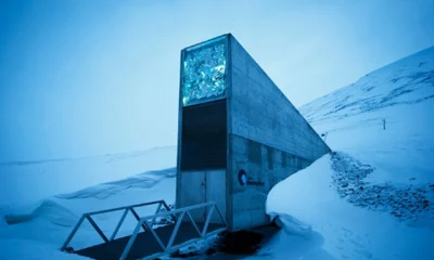 Svalbard Global Doomsday Seed Vault is opening its doors for VIP seeds from Australia and different countries