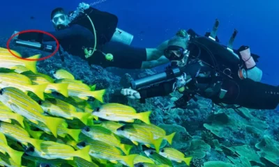 Subnado, the world smallest, lightest portable underwater scooter, will launch on Kickstarter soon