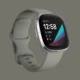 Fitbit begins Irregular Heart Rhythm Notifications today on nine of its watches and trackers