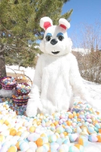 Easter Places with time to take children on an Easter egg hunt