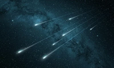 Eta Aquariid Meteor Shower 2022 When and How to Watch Eta Aquariids Things You Should Know