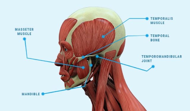 How can Temporomandibular Joints TMJ Cause Sore Throat 1
