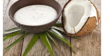 Things You Should Need To Know About Coconut Milk; Nutrition Facts And Health Benefits