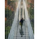 Vietnams new glass bottomed bridge declared as the worlds longest bridge sets Guinness World Record