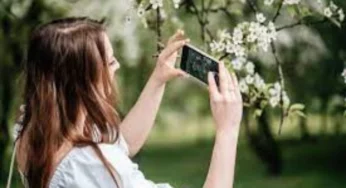 You can identify plants and flowers with your iPhone camera and Photo apps; Here’s how to do it