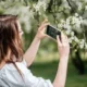 You can identify plants and flowers with your iPhone camera and Photo apps Heres how to do it