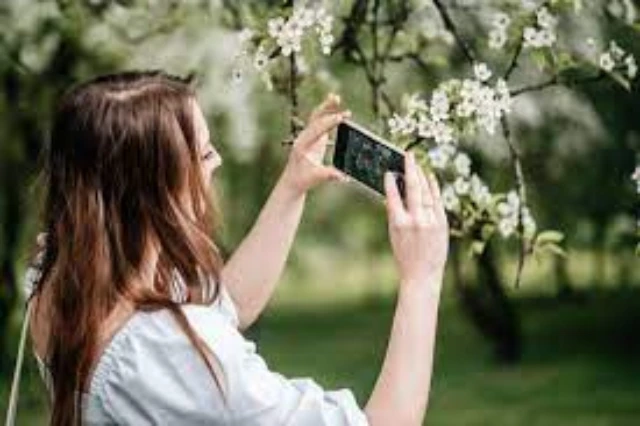 You can identify plants and flowers with your iPhone camera and Photo apps Heres how to do it