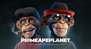 The Prime Ape Planet plays to the strengths of the NFT space with high-value propositions