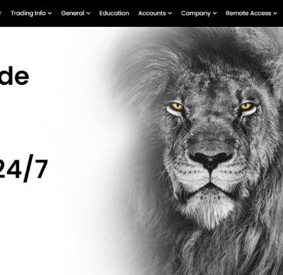 Brown Finance Review A Complete Overview of their Services