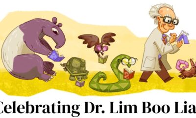 Celebrating Dr. Lim Boo Liat Google Doodle