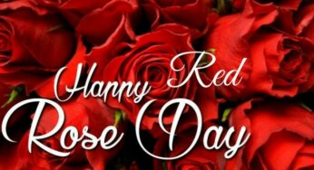 National Red Rose Day: History, Significance, How to celebrate, and What to do on this day