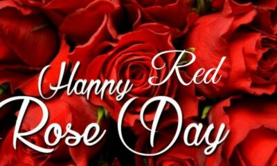 Happy National Red Rose Day