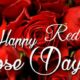 Happy National Red Rose Day