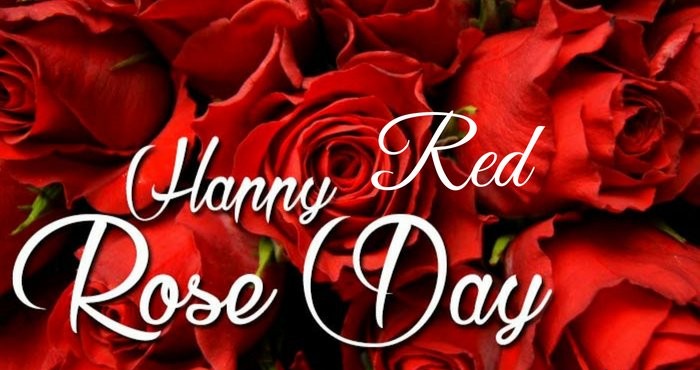 Happy National Red Rose Day