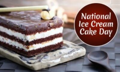 National Ice Cream Cake Day 1