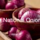 National Onion Day 1